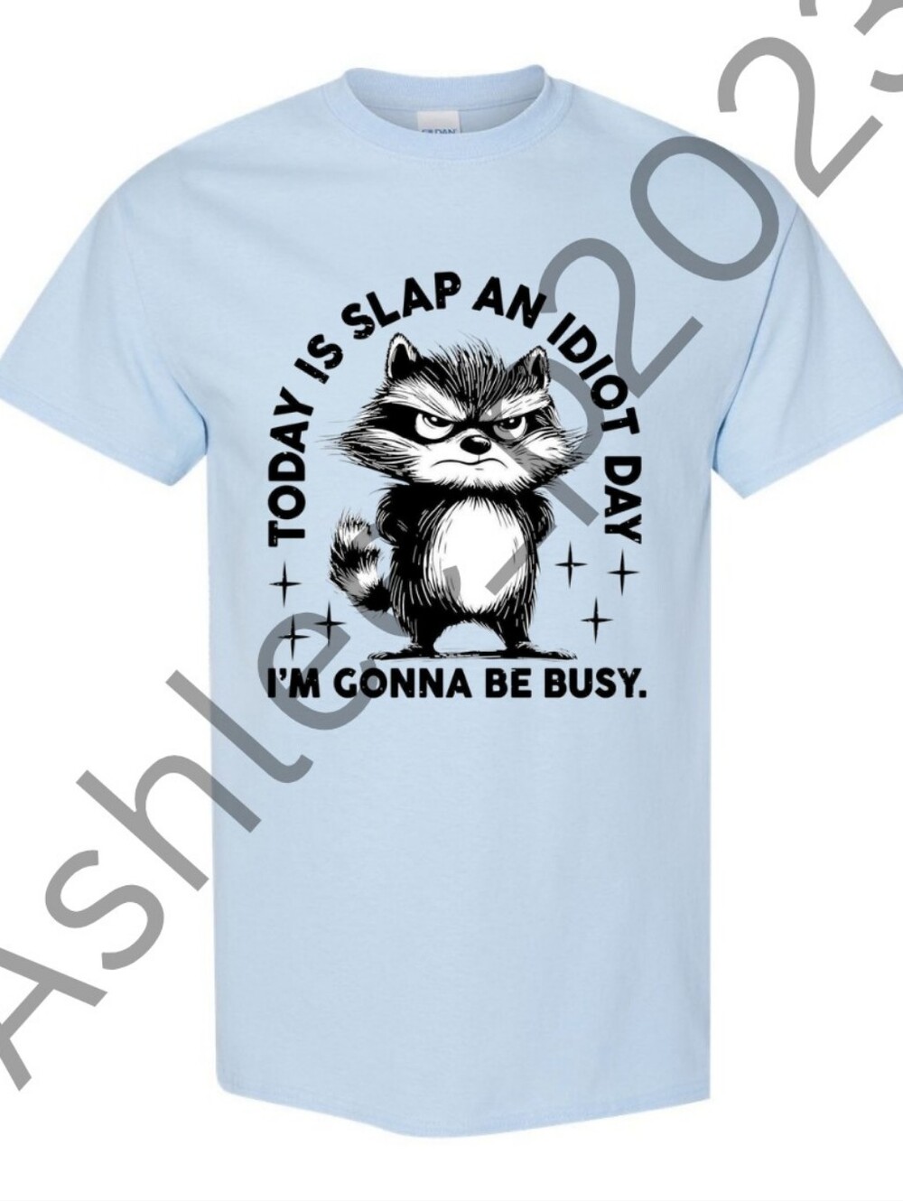 Today Is Slap An Idiot Day Unisex Short Sleeve Graphic Tee Shirt